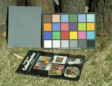 Portra-160NC-Copper-bleach.jpg