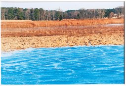 blue ice.jpg