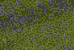 reticulation.jpg