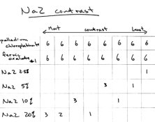File0001.jpg
