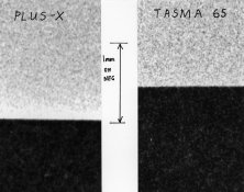 edge effects FX-1.jpg