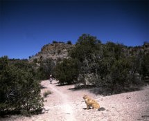 Water-Canyon-trail.jpg