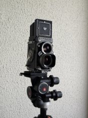 410-web.jpg