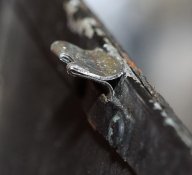 IMG_6609.JPG
