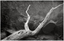 WerribeeGorge03Arz.jpg