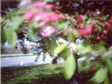 Scan_007_small.jpg