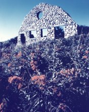 flowers-ruin-print.jpg
