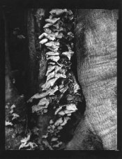 img139-copy.jpg