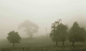 FoggyFarmJulien-Cal.jpg