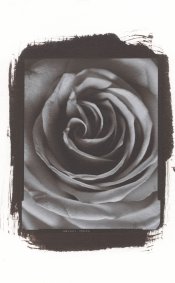 Scan-150131-0002-1600.jpg