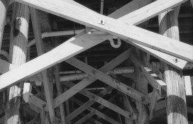 19 100 ISO.jpg 19 100 ISO.jpg