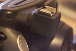 IMG_2510.jpg