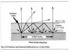 ref1.jpg