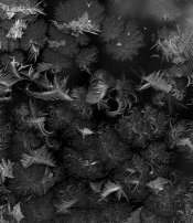 01_1412X4_05.jpg