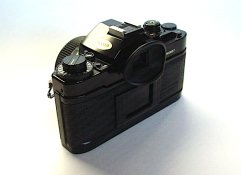 DSC02275.JPG