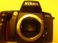 nikon.JPG