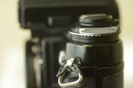 Camerapics 021.jpg