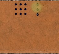 #116.jpg