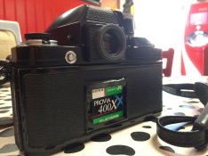IMG_0170.jpg