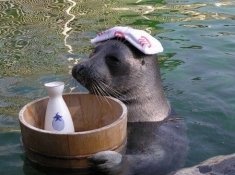 tight_seal.jpg