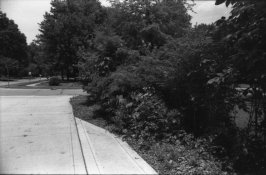 2014_07_05-Rollei400s_IR_test-001.jpg