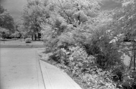 2014_07_05-Rollei400s_IR_test-002.jpg