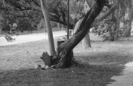 135 3.5 f5.6 1.125.jpg 135 3.5 f5.6 1.125.jpg