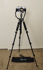 _DSC0891 web.jpg