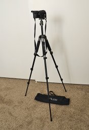 _DSC0895 web.jpg