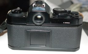 nikon FM2n Back .jpg