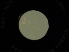 180mm Apo Nikkor SN 180050 rear scratches (small version).jpg