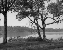 wilkinson-img1944.jpg