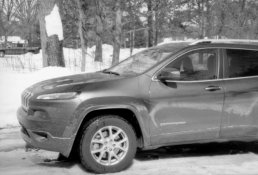 jeep neg.jpg
