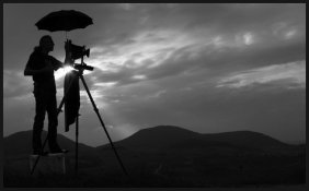 blume-umb-silhouette.jpg blume-umb-silhouette.jpg