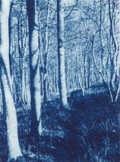 Cyanotype-test-TR-18032015--1.jpg