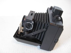 p33.JPG