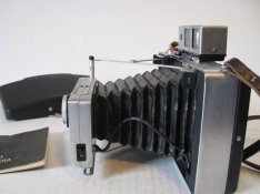 p43.JPG