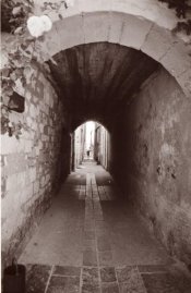 Untitled-20.jpg