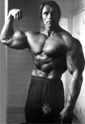 arnold-close-biceps.jpg