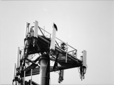 eagle-full.jpg