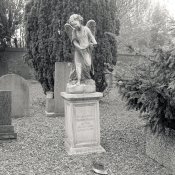C330f-Fomapan100-011-WEB.jpg