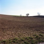 C330f-Porta160-012-WEB.jpg