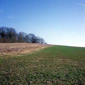 C330f-Provia100F-003-WEB.jpg