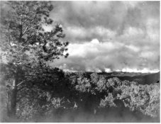 x14.25.jpeg x14.25.jpeg