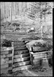 DS-12 neg 1 pos scan.jpg