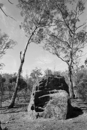 Image-1-(10).jpg