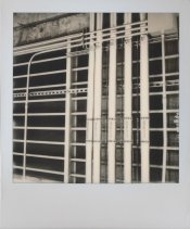IP_B&W_2.0-2.jpg