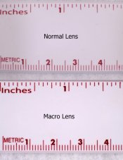 Macro Lens Test sml.jpg