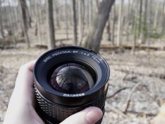 _1020150.jpg