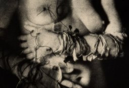 cropped3.jpg